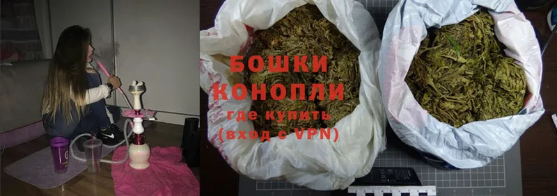 Бошки марихуана SATIVA & INDICA  купить наркоту  Алушта 